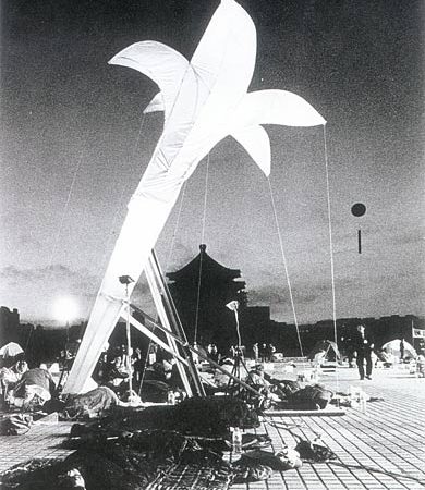 野百合學運