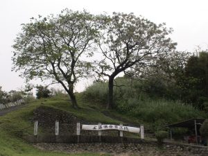 "Preserve All of Losheng Sanatorium" banner (Source: Wikipedia)