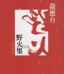 龍應台作品《野火集》的封面圖案（來源：維基百科）